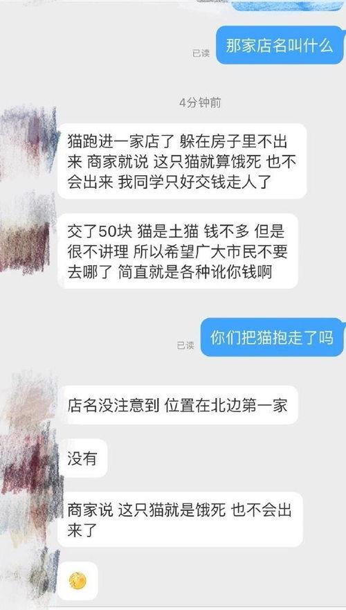 保定宠物店爆料视频,揭秘宠物行业背后真相 第3张 保定宠物店爆料视频,揭秘宠物行业背后真相 第3张