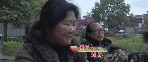 爆料婆婆视频大全集,揭秘家庭生活点滴